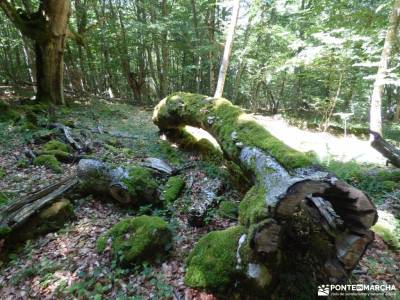 Sedano,Loras-Cañones Ebro,Rudrón;el pardo rutas camorritos cercedilla nacimiento rio cuervo cuenca